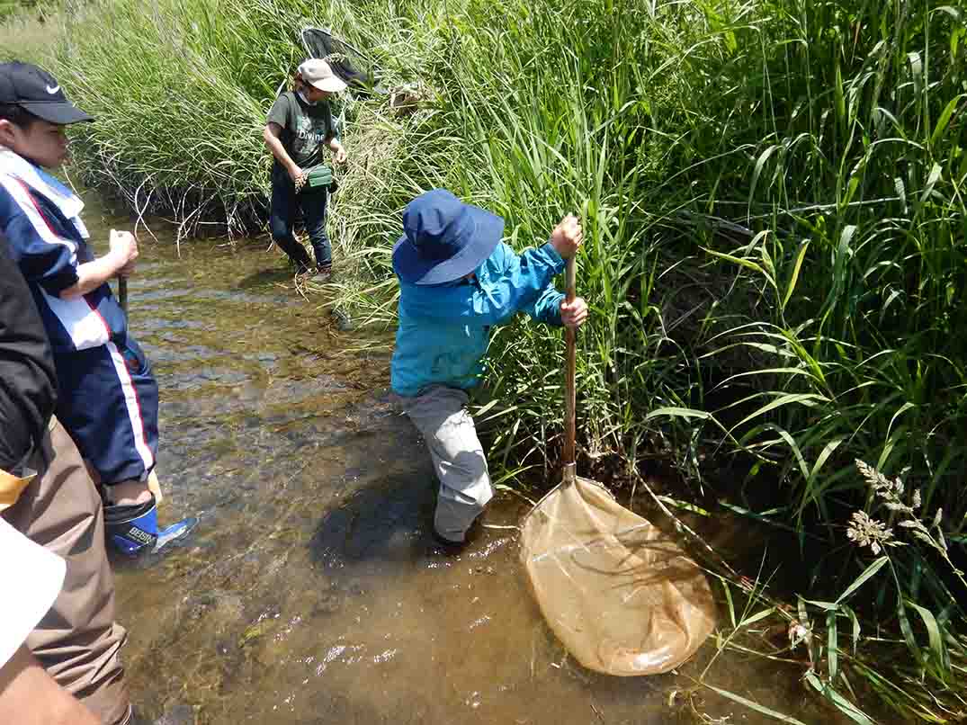 紺色の帽子を被った男性が、鬱蒼と茂った草むらと川の境目の水の中に持ち手が付いた網を沈めている写真