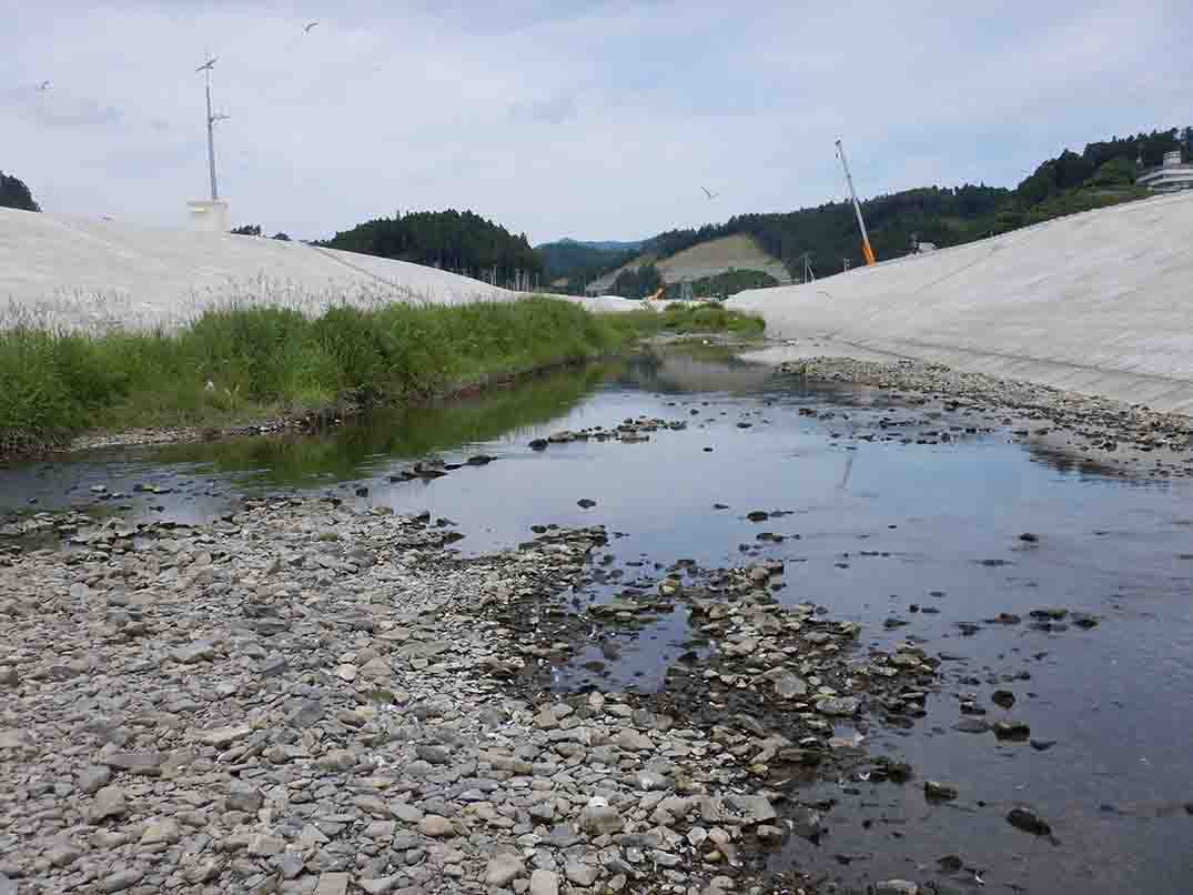 川の両端の土手でコンクリートで固められ、水量が少ない八幡川下流域の様子の写真