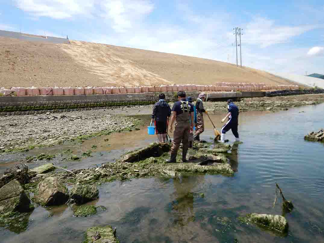 水量の少ない川の中にある大きな石の上に乗り探索を行っている参加者たちの写真