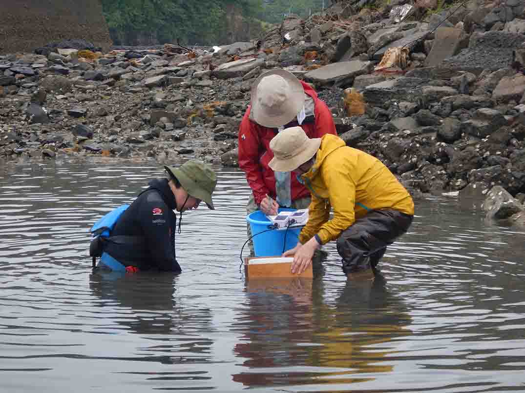 3人の干潟生物研究者の方々が水の中に入り調査を行っている様子の写真