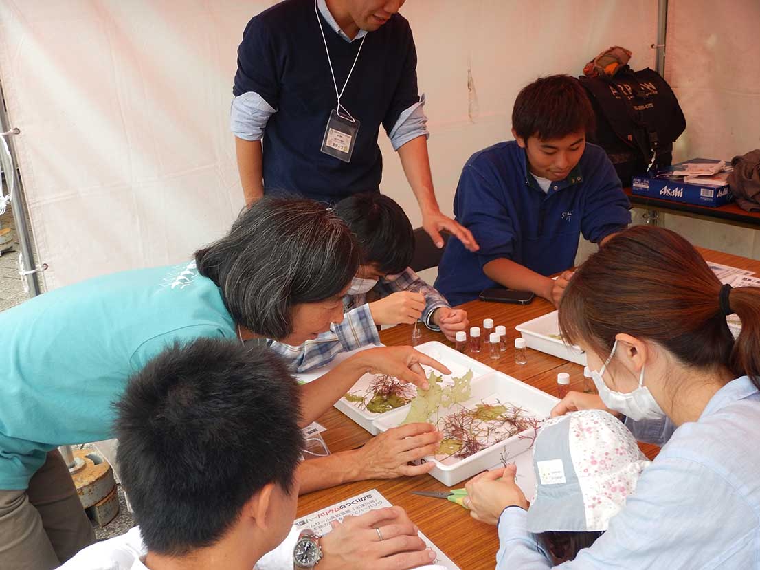 木製のテーブルの周りに6人が集まり、白いトレーの中に入った緑色や赤茶色の海藻を使って海藻ハーバリウムづくりを行っている写真