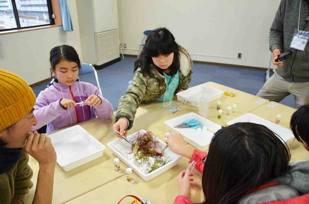 子どもたちが机で海藻などを使ってハーバリウム作りを行っている写真
