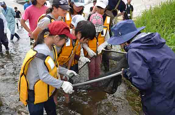 子どもたちが川の中で大きな網をのぞき込みながら生き物を観察している写真