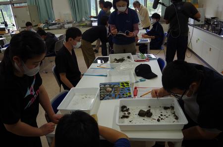机の上に見つけてきた生物類が並んだ白いトレイを覗き込んで見ている参加者たちの写真