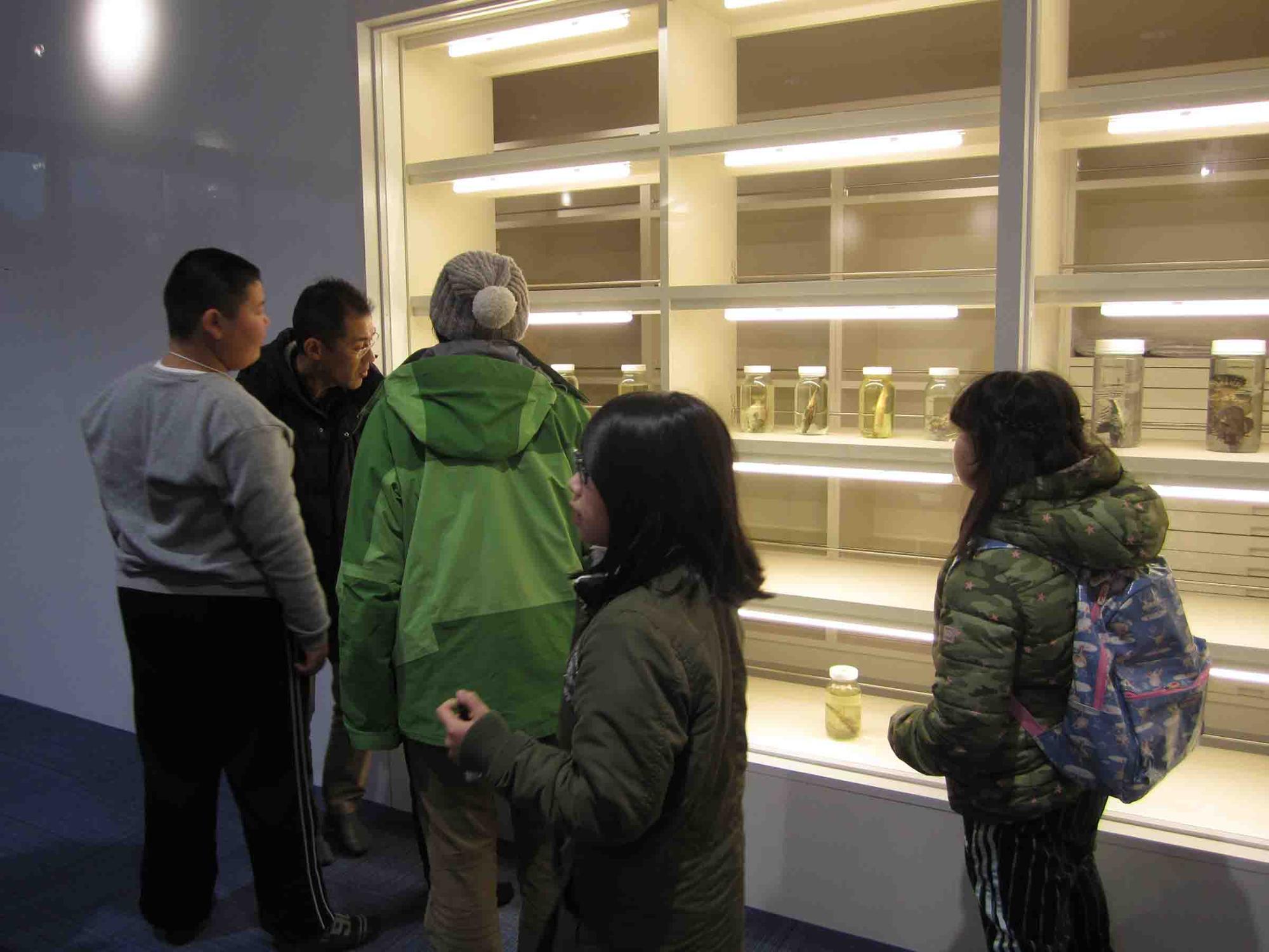 標本が並ぶ展示ケースを子どもたちが見学している写真