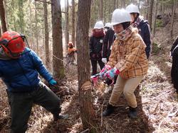 冬の森の中でヘルメットを着用した複数の子どもたちが、男性の指導を受けながら木の伐採をする様子を捉えた写真