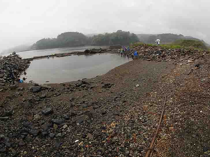 雨が降る中レインコートを着た参加者たちが八幡川河口域を歩いている様子の写真