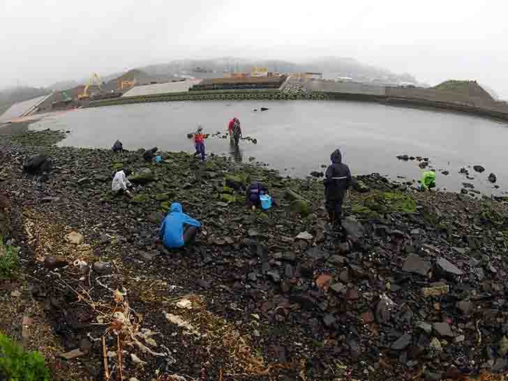 岸辺で探索したり水の中に入って探索したりしている参加者たちの写真