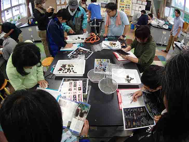 理科室の机の上に置かれた白いトレイの中に見つけたきた生物を並べ、参加者たちが調査を行っている様子の写真