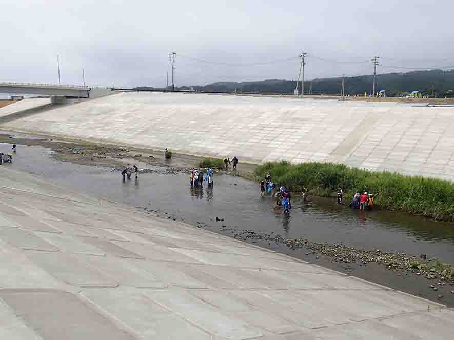 川の両側がコンクリートで固められた川の中に、大勢の参加者が入り生物を探索している様子の写真