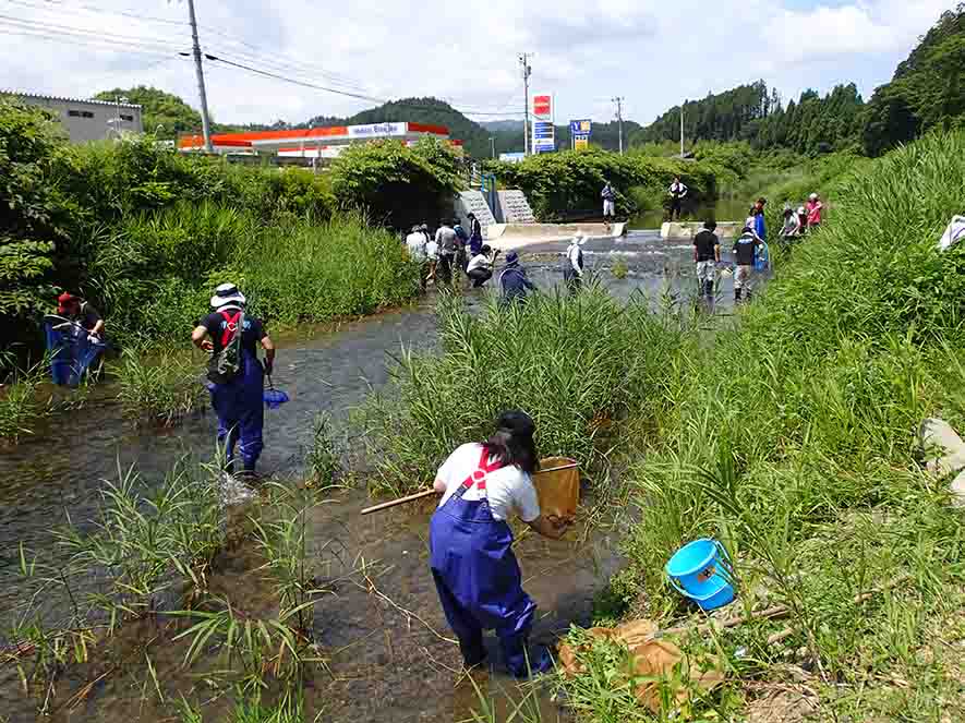 草が生えた川の中に入った参加者たちが網を持って生物を採取している様子の写真