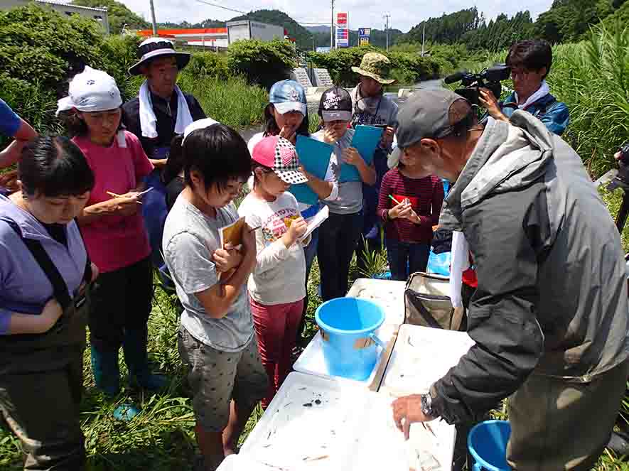 川の土手に設置された長机の上に置かれた白いトレイの中にいる採取した生物を、参加した子ども達や大人が見ている写真
