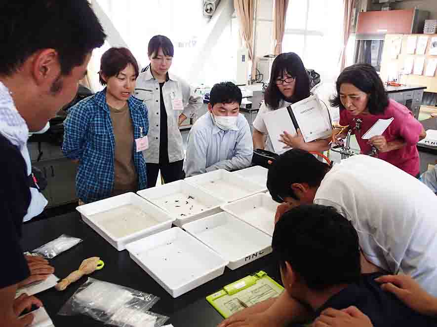 理科室の机の上に並んで置かれた白いトレイに採取した生物が並び、集まった参加者たちが見ている写真