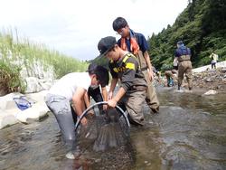 川で網を使って生き物を採集している子どもたちの写真