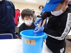 室内で青いバケツに水を入れて観察している子どもたちの写真