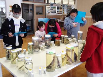 子どもたちがホルマリン標本を観察しながらメモを取っている写真