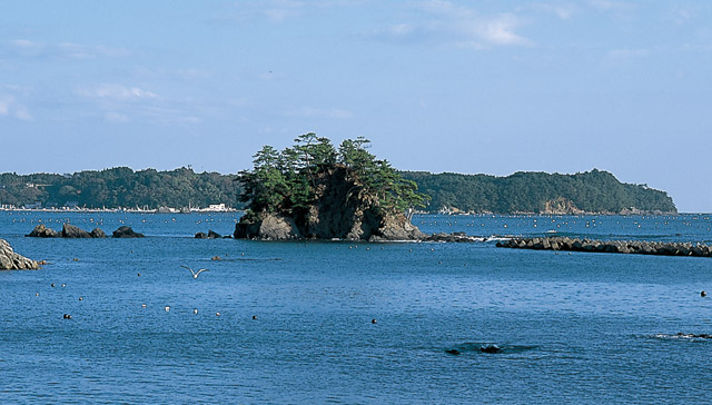 青い海の中に松の木が生い茂る小さな岩島が浮かび、奥に大きな島が見える歌津崎の写真