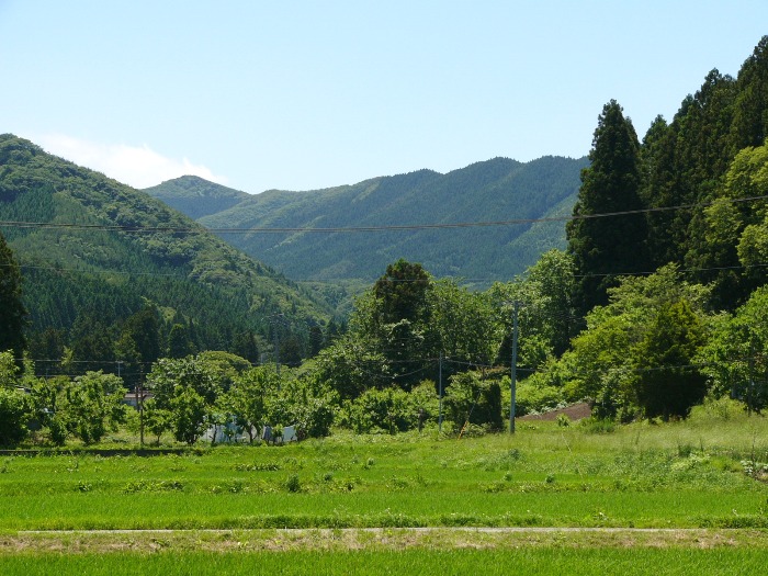 愛宕山（戸倉）