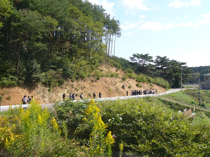 皿貝化石産地（歌津皿貝）