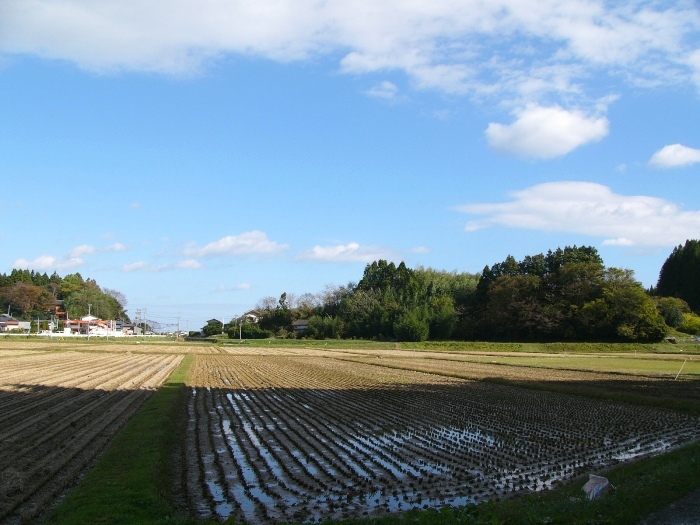 長者屋敷遺跡（戸倉波伝谷）