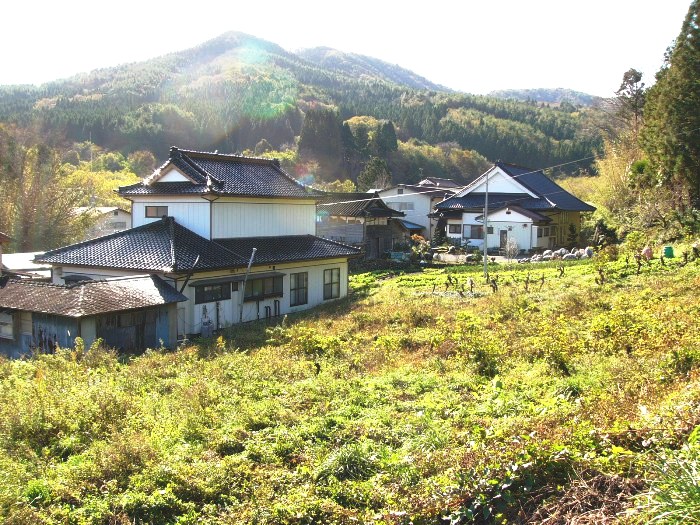 津の宮遺跡（戸倉津の宮）