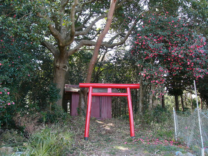 魔王神社（戸倉波伝谷）