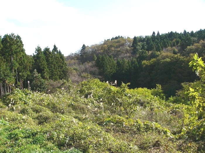 平小浜遺跡（戸倉滝浜）