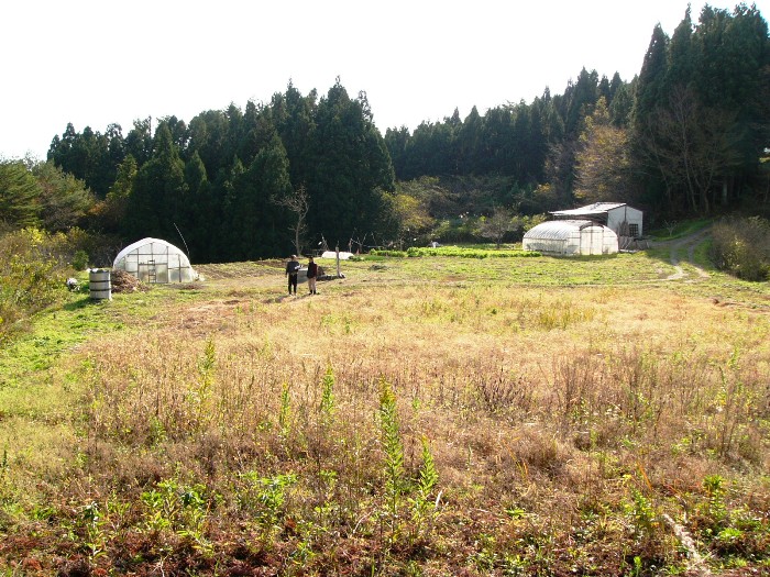 長者屋敷貝塚（歌津管の浜）