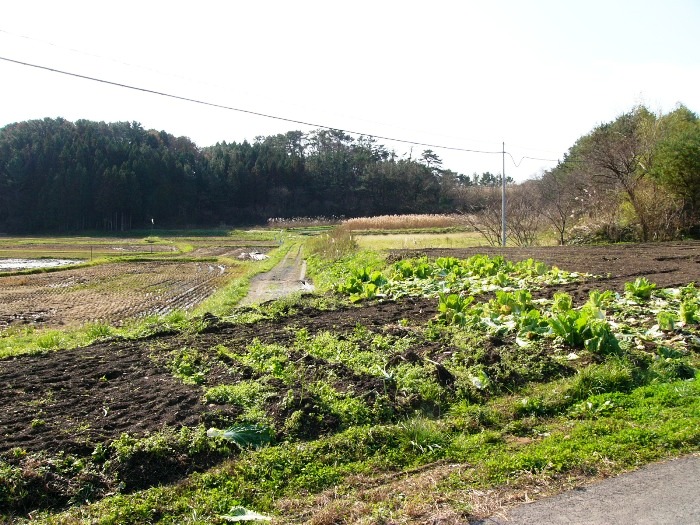 大沼遺跡（歌津大沼）