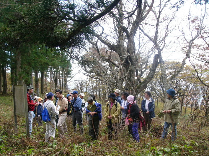 田束山寂光寺跡（歌津樋の口）