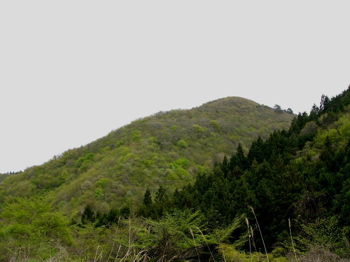 隼人館跡（入谷岩沢）