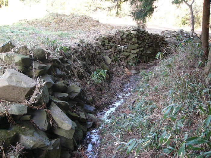 悪水の堰（入谷林際）