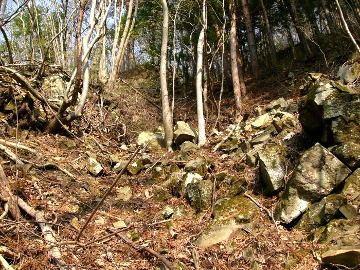 十枚山産金跡（入谷黒森）