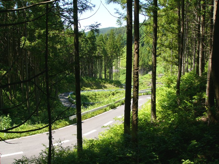 払川〜午王野沢道（歌津払川、午王野沢）