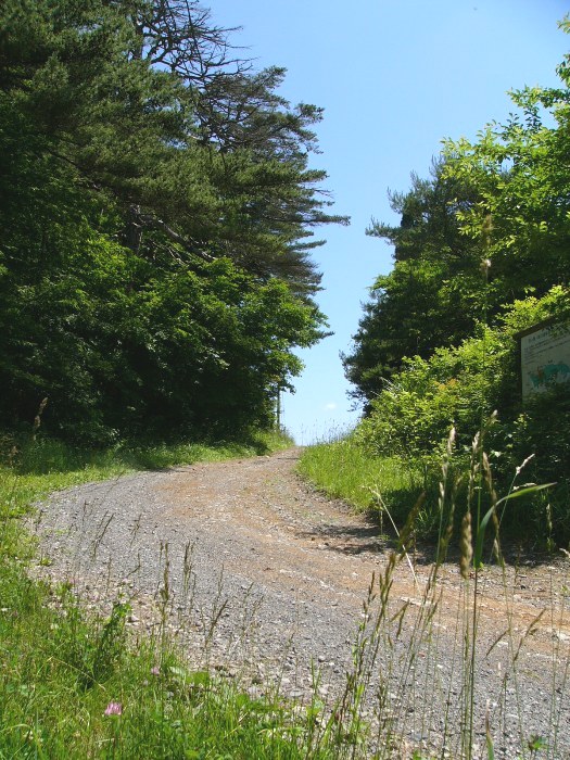 坂の貝峠（入谷山の神平・桵葉沢）