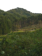 国ヶ森山（歌津上沢）