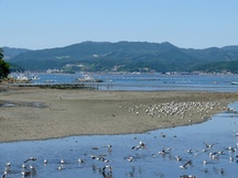 惣内山（志津川双苗）