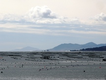 管の浜より金華山方面