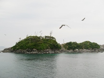 松島（寺浜）