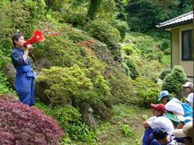 三角貝化石産地（志津川細浦）