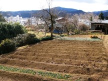 城場遺跡（志津川城場）