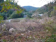 米広遺跡（志津川米広）