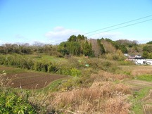 若宮遺跡（戸倉津の宮）