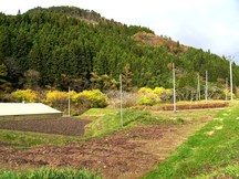 残谷遺跡（入谷残谷）