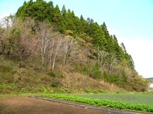 寄木遺跡（歌津町向）