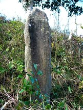 気仙沼・本吉地方最古の板碑（戸倉波伝谷）