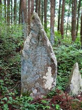 千人仏の板碑（入谷信倉）