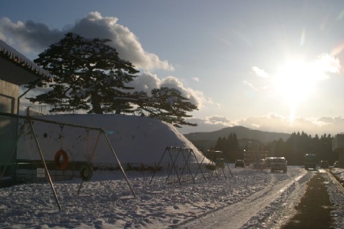 志津川小学校の松