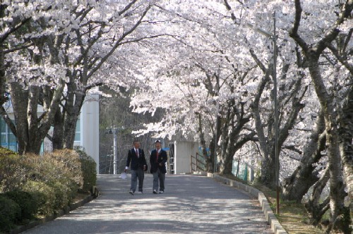 登校坂