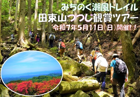 みちのく潮風トレイル田束山つつじ鑑賞ツアー